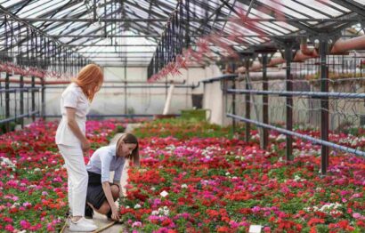 greenhouse-owner-presenting-flowers-options-potential-customer-retailer-100kb