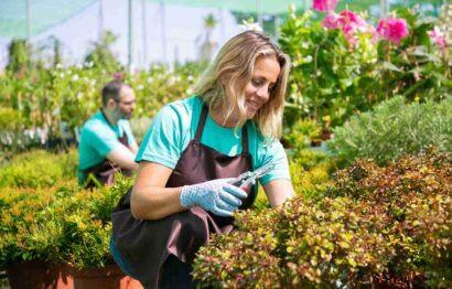 happy-woman-working-garden-growing-plants-pots-cutting-branches-with-pruner-gardening-job-concept-100kb