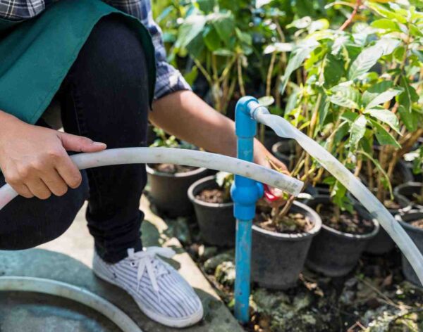 gardening (1)