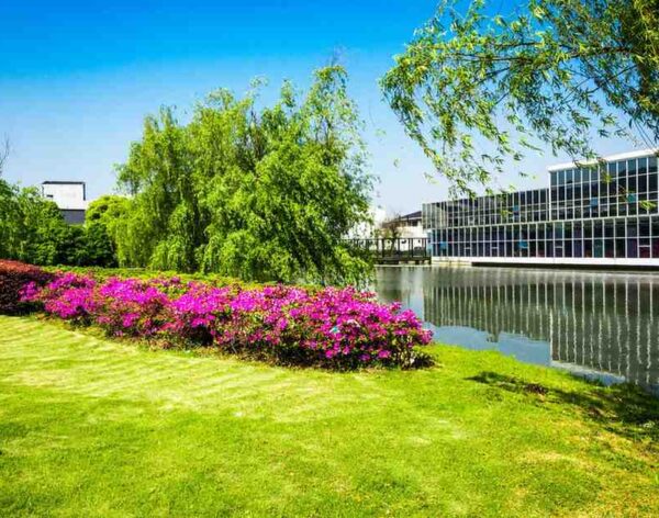office-building-with-river (1)