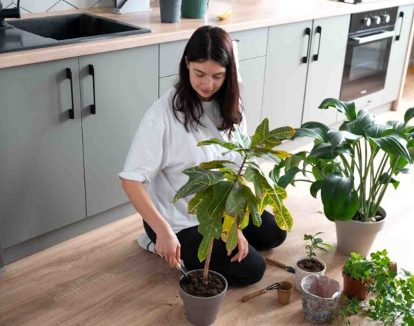 woman-changing-pots-her-plants-home-quarantine (1)