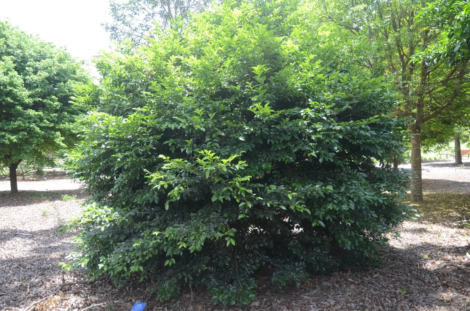 132